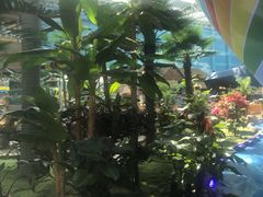 -青岛东方影都融创水世界