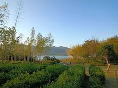 -雅达·阳羡溪山小镇中心