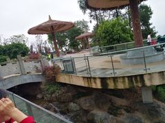 -铁山坪森林公园