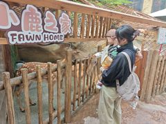 -杭州开元森泊度假乐园