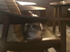 -咖法森林·咖啡  酒吧(天河店)