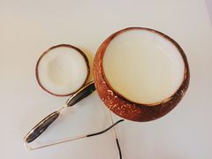 -志龙皇冠吃货椰子铺