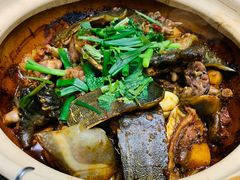 啫啫甲鱼煲-金龙·打边炉(南京西路店)