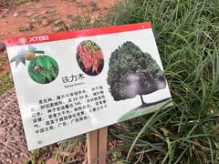 -中国科学院西双版纳热带植物园