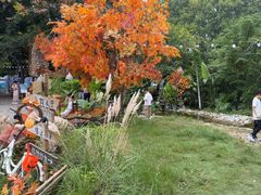 -HERRE·FARM 赫尔露营农场·团建聚会包场