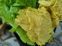 -普宁潮汕牛肉火锅(新香洲店)