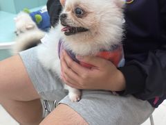 -怪兽屋·羊驼·猫咖·狗咖(俊华广场店)