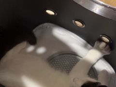 -瑞派康怡24h宠物医院·犬猫医疗中心·微创绝育(瑞景分院)