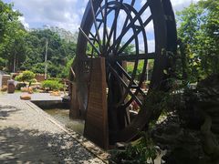 -广州白江湖森林公园