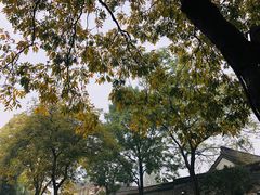 -绍兴古城