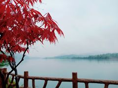 -黄山太平湖风景区
