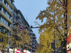 -奎星楼街