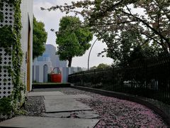 -柒厢食事雅谈