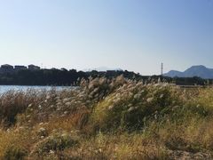 -青龙湖公园