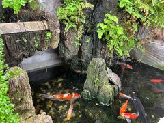 -丽江庭院之爱在路上(西单店)