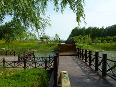 -黄海国家森林公园