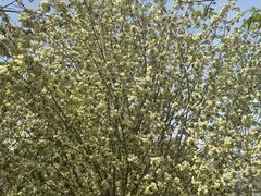 -江南大学(蠡湖校区)