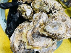 至尊桑拿蚝-天宝食坊·啫啫煲大排档(西华路店)