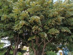 -大连植物园
