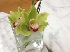 iphone_upload_pic-上海雅居乐万豪侯爵酒店