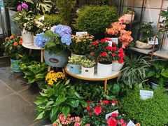 -循礼门鲜花花市(武汉循礼门店)