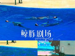 -海合安天津极地海洋公园