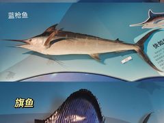 -浙江自然博物院(杭州馆)
