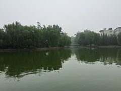 -团结湖公园