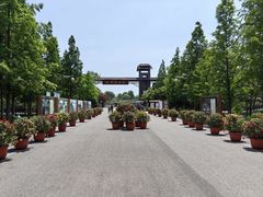 -泗洪洪泽湖湿地景区