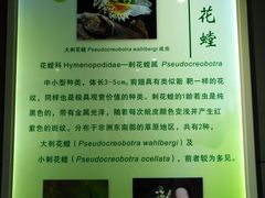 -上海昆虫博物馆