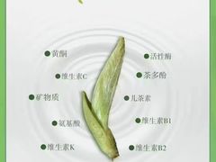 -华祥苑茶馆•国缤茶小蓝罐(普罗旺斯店)
