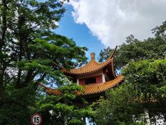 -深圳仙湖植物园