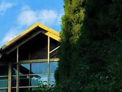 -武陵山森林公园