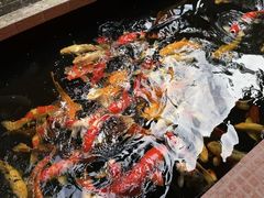-侠成水上农庄(工业大道店)
