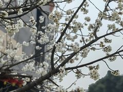 -国际非物质文化遗产博览园