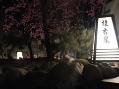 -国御温泉度假小镇