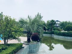 -浦鸿会游泳健身中心·Ambassy Club PD(金桥碧云国际社区店)
