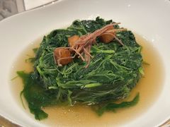 -伯衡55·吉品轩(乌鲁木齐南路店)