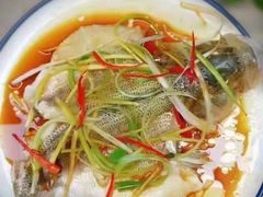 -天鹅到家·保姆月嫂育儿嫂(朝阳店)