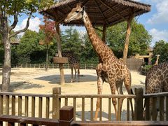 -上海野生动物园