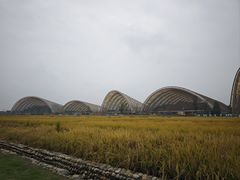 -中国天府农业博览园