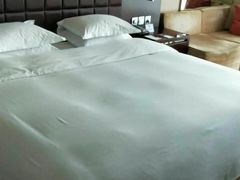 -上海浦东绿地铂骊酒店