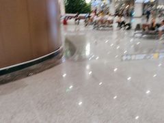 -麦当劳(北京大兴机场二层国内到达(安检外)店)