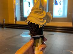 -麦当劳(石家庄北国店)