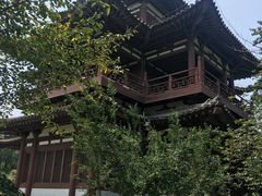 -西安青龙寺遗址景区