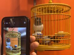 -了凡国风主题茶馆·咖啡(武侯祠锦里店)