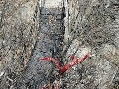 -秦岭终南山世界地质公园翠华山景区