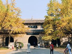 -灵谷景区