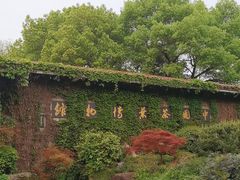 -中国茶叶博物馆(双峰馆区)