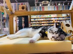 -小时光咖啡馆(开森度假森林店)